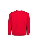 Standard Crew Neck Sweat - Youth - Back