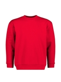 Standard Crew Neck Sweat - Youth
