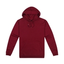 Origin Hoodie - Men - Maroon