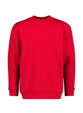 Standard Crew Neck Sweat - Unisex/Adult