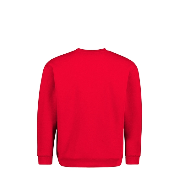 Standard Crew Neck Sweat - Youth - Back