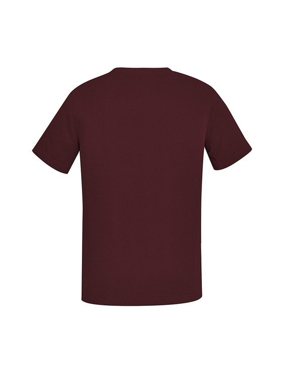 Avery V-Neck Scrub Top - Men